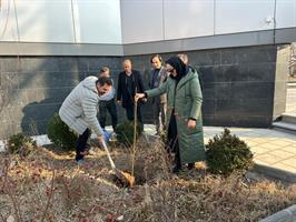 غرس چندین اصله نهال در روز درختکاری غرس چندین اصله نهال در روز درختکاری