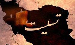 پیام تسلیت رئیس سازمان نظام مهندسی در پی حادثه زلزله استان کرمانشاه