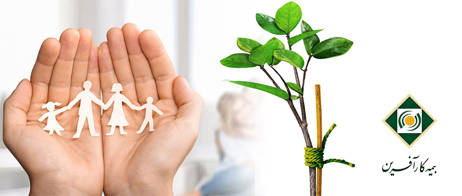 جدول تعهدات بیمه تکمیلی جدول تعهدات بیمه تکمیلی